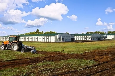 Здания ЛСТК | Спайдер-В® - Птицекомплексы