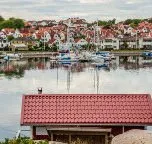 Рулонная сталь GreenCoat Mica BT (биотехнологии)