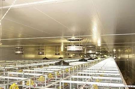 Здания ЛСТК | Спайдер-В® - Птицекомплексы