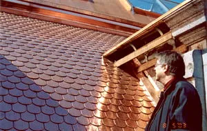 Битумная черепица Toisite