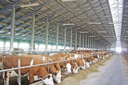 Быстровозводимые здания Ruukki, Ventall