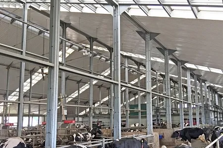 Здания ЛСТК | Спайдер-В® - Комплексы для крупного рогатого скота
