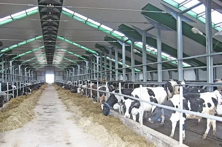 Здания ЛСТК | Спайдер-В® - Комплексы для крупного рогатого скота