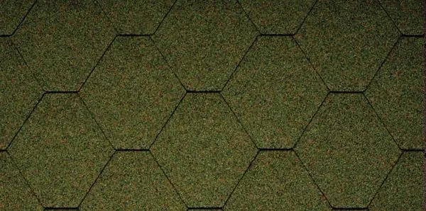 Зеленый лес.jpg