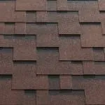 Спелый каштан.jpg