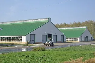 Здания ЛСТК | Спайдер-В® - Комплексы для крупного рогатого скота