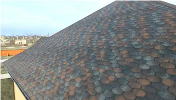 НОВИНКА! Гибкая черепица Katepal Forte (Катепал Форте)